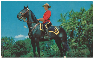 Camm15278 horseback