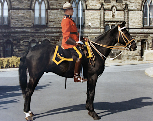 Carroll15031 Mounted